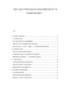 2025-2030中國信息技術行業技術創新分析及產業升級路徑研究報告