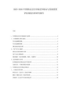 2025-2030中國移動(dòng)支付市場(chǎng)競(jìng)爭(zhēng)格局與發(fā)展投資評(píng)估規(guī)劃分析研究報(bào)告