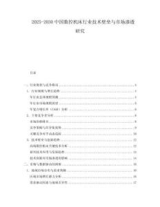 2025-2030中國數(shù)控機床行業(yè)技術壁壘與市場滲透研究