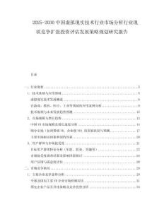2025-2030中國虛擬現實技術行業市場分析行業現狀競爭擴張投資評估發展策略規劃研究報告
