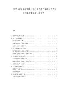 2025-2030電工鋼企業(yè)客戶黏性提升策略與增值服務體系構建實戰(zhàn)分析報告