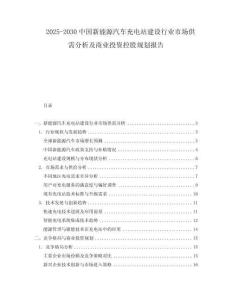 2025-2030中國新能源汽車充電站建設行業市場供需分析及商業投資控股規劃報告