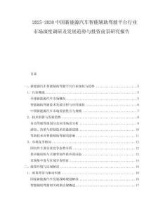2025-2030中國新能源汽車智能輔助駕駛平臺行業(yè)市場深度調(diào)研及發(fā)展趨勢與投資前景研究報告