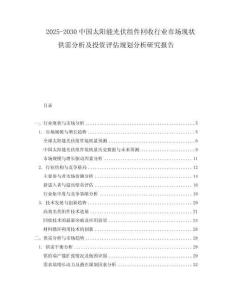 2025-2030中國太陽能光伏組件回收行業市場現狀供需分析及投資評估規劃分析研究報告