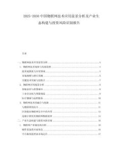 2025-2030中國物聯網技術應用前景分析及產業生態構建與投資風險識別報告
