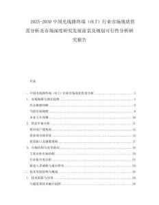 2025-2030中國光線路終端（OLT）行業市場現狀供需分析及市場深度研究發展前景及規劃可行性分析研究報告