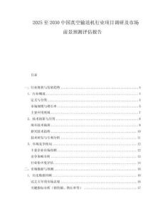 2025至2030中國真空輸送機行業項目調研及市場前景預測評估報告