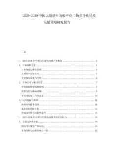 2025-2030中國太陽能電池板產業市場競爭格局及發展策略研究報告