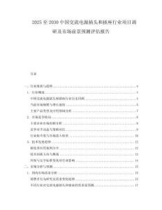 2025至2030中國交流電源插頭和插座行業(yè)項(xiàng)目調(diào)研及市場前景預(yù)測評(píng)估報(bào)告