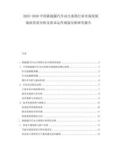 2025-2030中國新能源汽車動力系統行業市場發展現狀供需分析及資本運作規劃分析研究報告