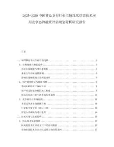 2025-2030中國移動支付行業(yè)市場現(xiàn)狀供需技術(shù)應(yīng)用競爭態(tài)勢融資評估規(guī)劃分析研究報告