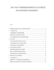 2025-2030中國新能源電池材料技術方向市場需求供給分析投資潛力發展展望報告