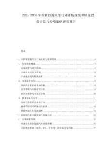 2025-2030中國新能源汽車行業(yè)市場深度調(diào)研及投資前景與投資策略研究報告