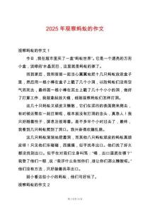 2025年觀察螞蟻的作文