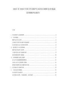 2025至2030中國CFB鍋爐行業項目調研及市場前景預測評估報告