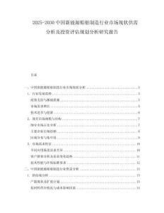 2025-2030中國新能源船舶制造行業市場現狀供需分析及投資評估規劃分析研究報告