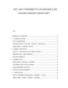 2025-2030中國新能源汽車行業市場發展潛力分析及商業模式創新趨勢與投資機會報告