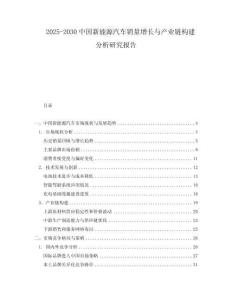 2025-2030中國新能源汽車銷量增長與產業鏈構建分析研究報告