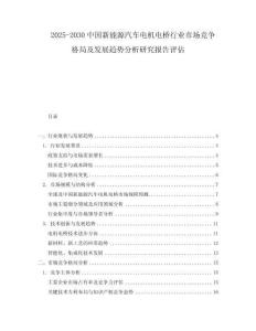 2025-2030中國新能源汽車電機電橋行業市場競爭格局及發展趨勢分析研究報告評估