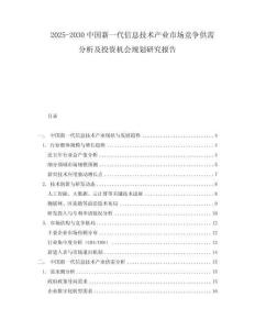 2025-2030中國新一代信息技術產業市場競爭供需分析及投資機會規劃研究報告