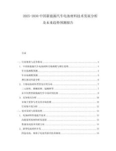 2025-2030中國新能源汽車電池材料技術發展分析及未來趨勢預測報告