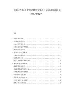2025至2030中國虎鉗夾行業項目調研及市場前景預測評估報告