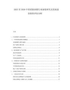 2025至2030中國柔膚面膜行業(yè)深度研究及發(fā)展前景投資評估分析
