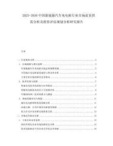 2025-2030中國新能源汽車充電樁行業市場前景供需分析及投資評估規劃分析研究報告