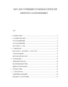 2025-2030中國(guó)新能源汽車電機(jī)驅(qū)動(dòng)行業(yè)供需分析及投資評(píng)估與未來(lái)發(fā)展規(guī)劃報(bào)告
