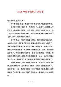 2025年粽子的作文300字