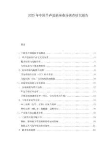 2025年中國(guó)單聲道插座市場(chǎng)調(diào)查研究報(bào)告