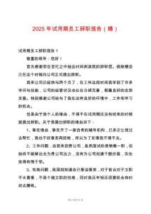 2025年試用期員工辭職報(bào)告（精）