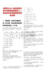 [黃岡市]2025湖北黃岡市審計局招聘政府雇員3人筆試歷年參考題庫附帶答案詳解