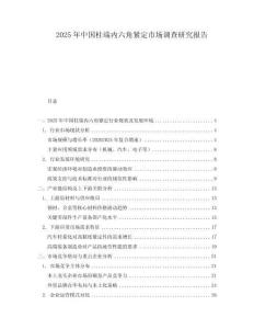 2025年中國柱端內(nèi)六角緊定市場(chǎng)調(diào)查研究報(bào)告