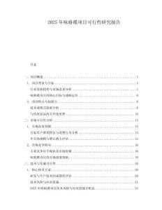 2025年味格碟項(xiàng)目可行性研究報告