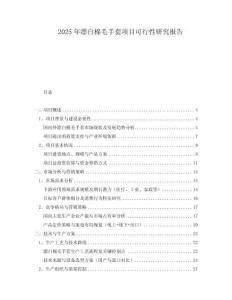 2025年漂白棉毛手套項目可行性研究報告