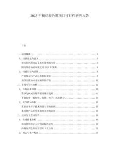2025年扭結(jié)彩色膜項目可行性研究報告