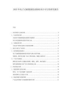 2025年電子式破裂強(qiáng)度試驗(yàn)機(jī)項(xiàng)目可行性研究報(bào)告