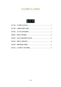 文化消費行為心理機制-洞察及研究