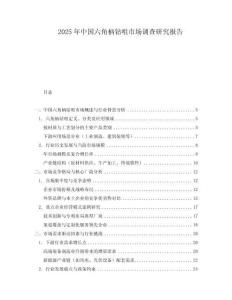 2025年中國六角柄鉆咀市場調(diào)查研究報告