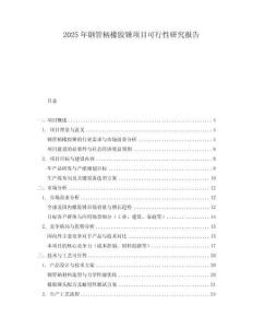 2025年鋼管柄橡膠錘項(xiàng)目可行性研究報(bào)告