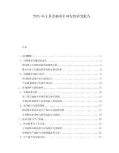 2025年工具套柄項(xiàng)目可行性研究報(bào)告