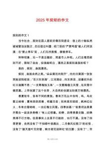2025年規(guī)矩的作文