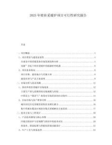 2025年壁掛采暖爐項(xiàng)目可行性研究報(bào)告
