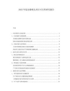 2025年促動(dòng)器噴頭項(xiàng)目可行性研究報(bào)告