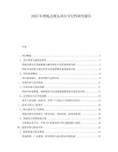 2025年埋地式噴頭項(xiàng)目可行性研究報(bào)告