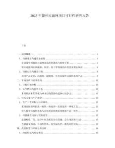 2025年鎳絲過濾網(wǎng)項(xiàng)目可行性研究報(bào)告