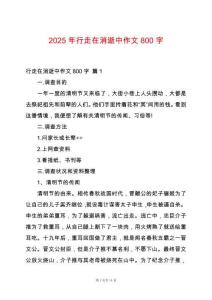 2025年行走在消逝中作文800字