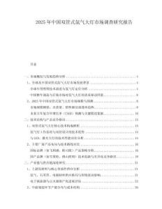2025年中國雙管式氙氣大燈市場(chǎng)調(diào)查研究報(bào)告