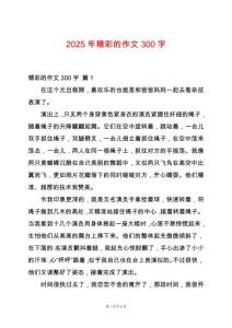 2025年精彩的作文300字